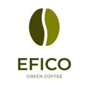 efico logo